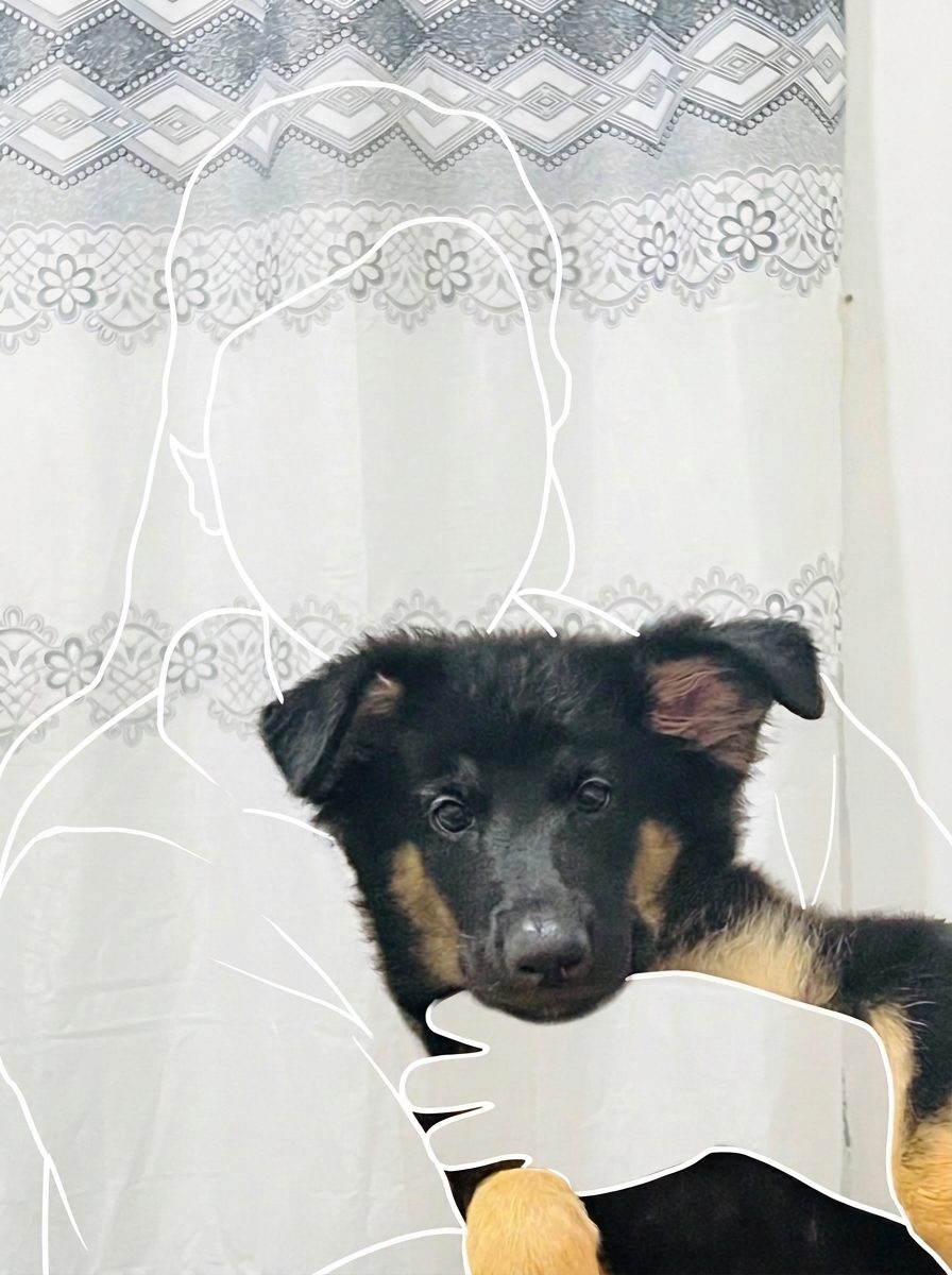 Noah as a puppy being held